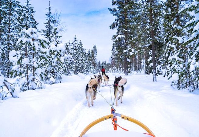 Laponie Finlande Suède excursions balades en traineau a chiens huskies 2025 2026 2027 Laponie suédoise norvégienne finlandaise