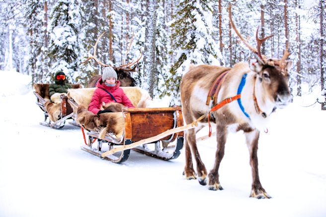 Laponie Finlande Suède, Ferme de Rennes Excursions Traîneau Rennes 2025 2026 2027 tout compris
